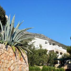 Apartments with parking space Ivan Dolac, Hvar - 17778