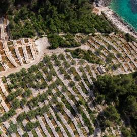 Seaside house for families with children Cove Zanavje, Korcula - 19224, hotel u gradu Blato