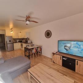 Appartement T2 45 M2 Meublé 3 étoiles tout confort hyper centre de Dax