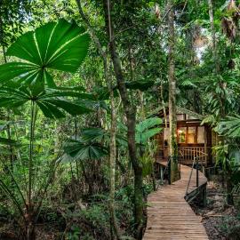 Daintree Wilderness Lodge, hotell i Daintree