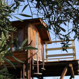 The Treehouse - Casa sull'albero al Golden Camp, hotel en Falerna