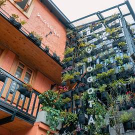 Masaya Bogotá, hotel i Bogotá