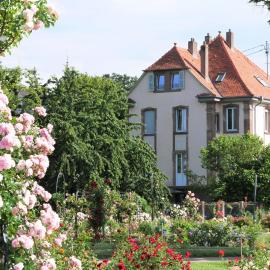 Le Jardin des Roses, hotel v destinácii Saverne