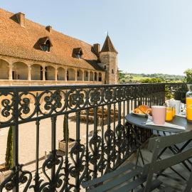 Les Gîtes du château - 2 Magnifiques Appartements face au château Henri IV, hotel in Nérac