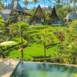 Menzel Villa Ubud, hotel u gradu Ubud