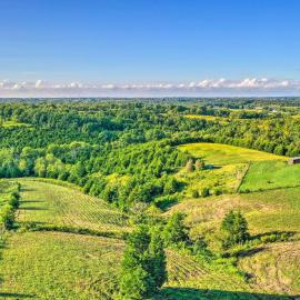 Welcoming Kentucky Home w/ Sprawling Views!, ξενοδοχείο σε Corinth
