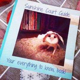 Sunshine Court
