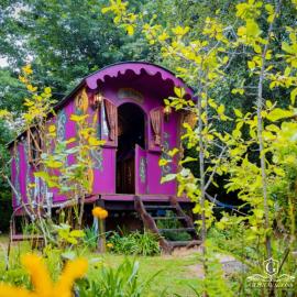 Gypsy Wagons and Vans, Clarens, hotel Clarensben