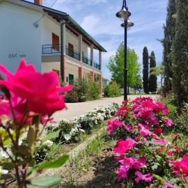 Agriturismo Ariston ONC 1484, ξενοδοχείο σε Sabaudia