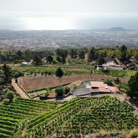 Finca Ecológica Ferrera. Alojamiento Rural., хотел в Arafo