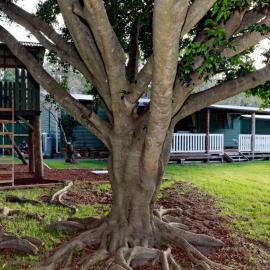 Sahara Trails Complex Sleeping groups WiFi Air Conditioning Horse Riding and much more