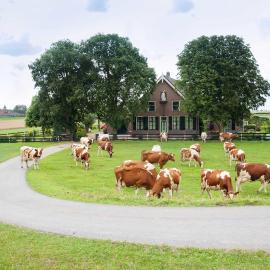 Sint Nicolaashoeve, hotel in Nieuwveen