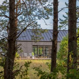 Saunaga puhkemaja Spithamis, 250 meetrit merest!, hotel u gradu 'Spithami'