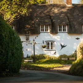 The Brace of Pheasants, hotel in Alton Pancras