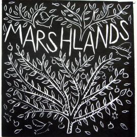 Marshlands Apartment