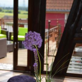 Ferienwohnungen Treiber in Eggenstein-Leopoldshafen - Nähe KIT Campus Nord und Karlsruhe, hotel di Eggenstein-Leopoldshafen