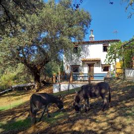 La Encina Casa Rural