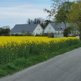 Birkelund BnB โรงแรมในOtterup