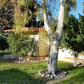 Danaides Bungalows, hotel a Tolo
