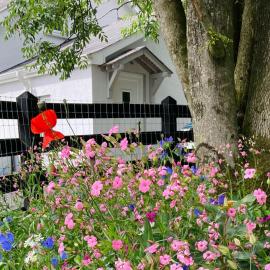 Beech Tree Cottage, Hotel in glenwherry