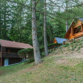 Nature escape woodhouse, hotel in Žirovnica