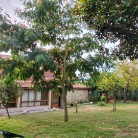 Casa Rural A Telleira, hotel ad A Estrada