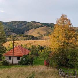 Studenac Mionica