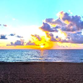 Paradise Awaits! Beach, King Bed, Private Yard & Workspace