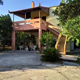 The Green Garden in AGIA VASSA