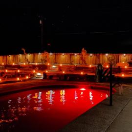 Private Home - Heated Saltwater Pool, BBQ, Pro Pool Table, Horseshoes, Darts, Cotton Bedding, Half Acre - The Joshua Tree Forest - Pool Heat Optional