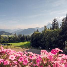 Familienbauernhof Samerhof, hotel a Pfarrwerfen
