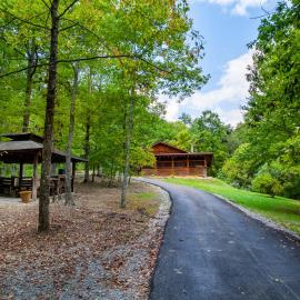 Forest Home Hot Tub Fire Pit Pool Table