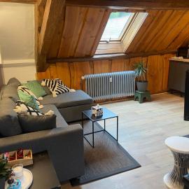 Le hohwald centre appartement 3 pieces # 201, hotel in Le Hohwald