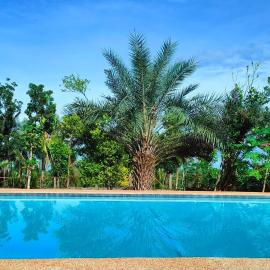 SBG Resort Lambug – hotel w mieście Badian