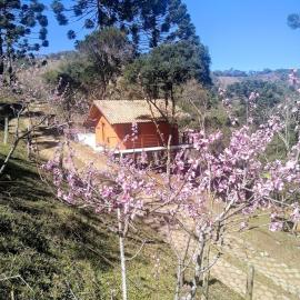 Chalé da Mata, hotel in Sapucaí-Mirim