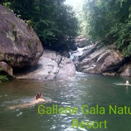 Gallene Gala Nature Resort, hotel sa Kitulgala