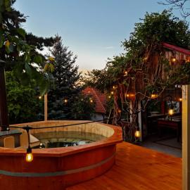 Cuvin में, होटल Vila cu Ciubar & Jacuzzi - Sunset Hill House