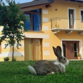 Agriturismo Fior Di Campo, hotelli kohteessa Dronero