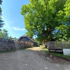 koča na pikovem, hotelli kohteessa Črna na Koroškem
