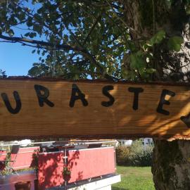 Jurastei 16, hotel din Wiedlisbach