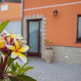 La Pomelia B&b Sofia, hotel i Trappitello