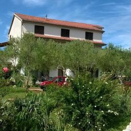 Apartments by the sea Tkon, Pasman - 16275