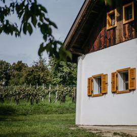 Kellerstöckl Berg 106, hotel in Strem