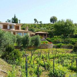 UVA E STELLE villa ad uso esclusivo in collina