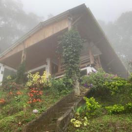 Cabaña Guarumo de la Sierra - Minca