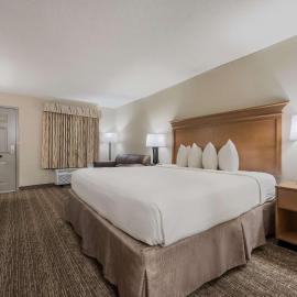 Best Western University Inn, hotel in Tuscaloosa