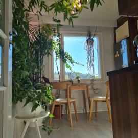 Paradise apartment