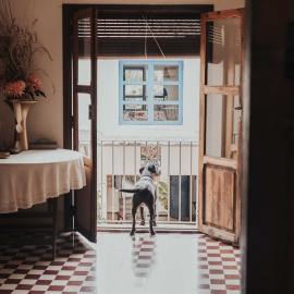 Casa San Miguel, hotelli kohteessa Salem