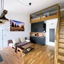 Miky Apartmán Klínovec view