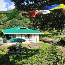 The Nettle and Fern Farmstay, hotel a Pelling